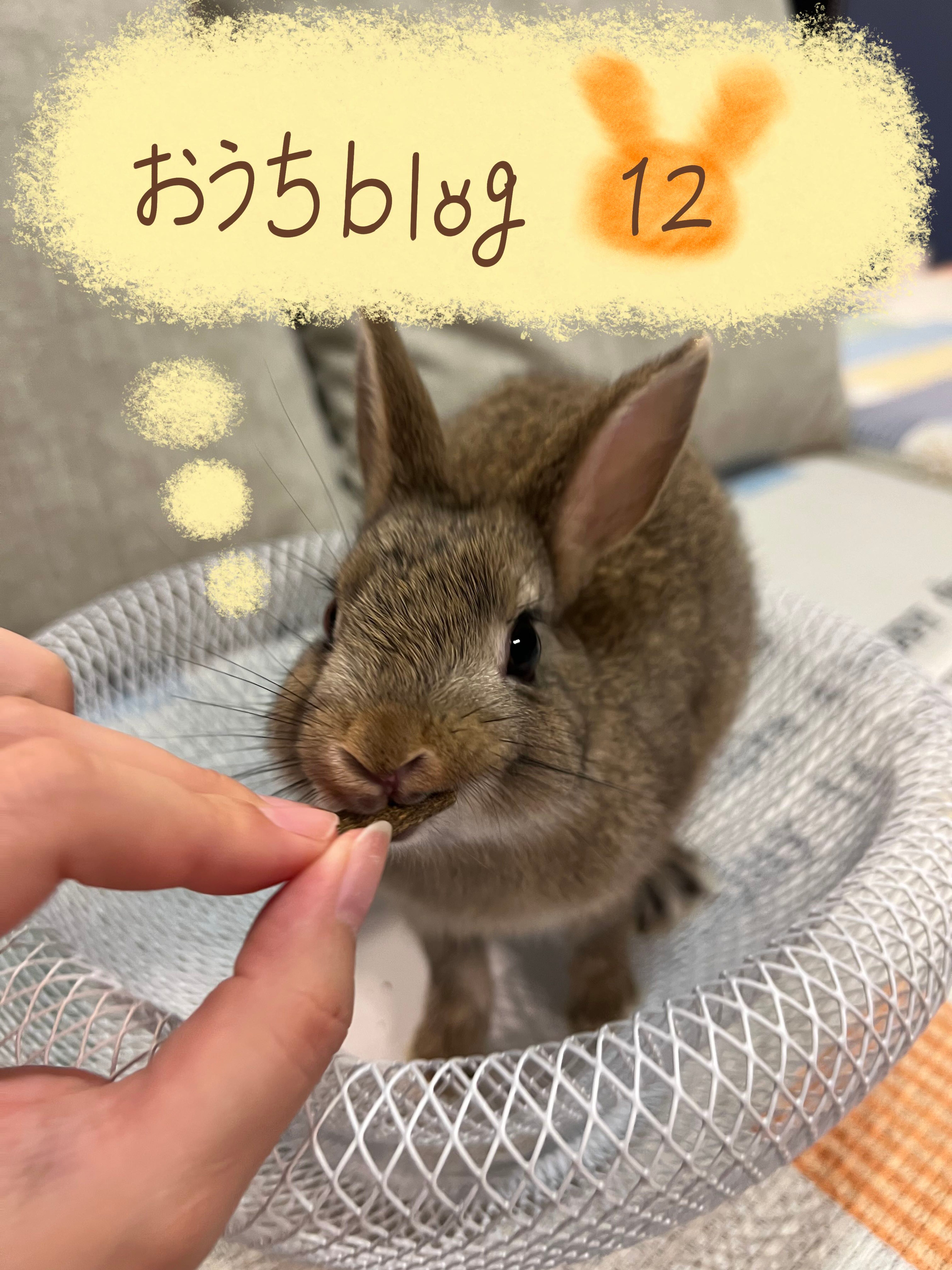 おうちblog🏠⑫