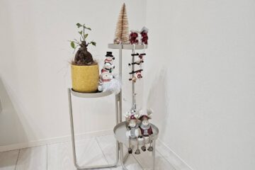 🎄クリスマスツリー🎄