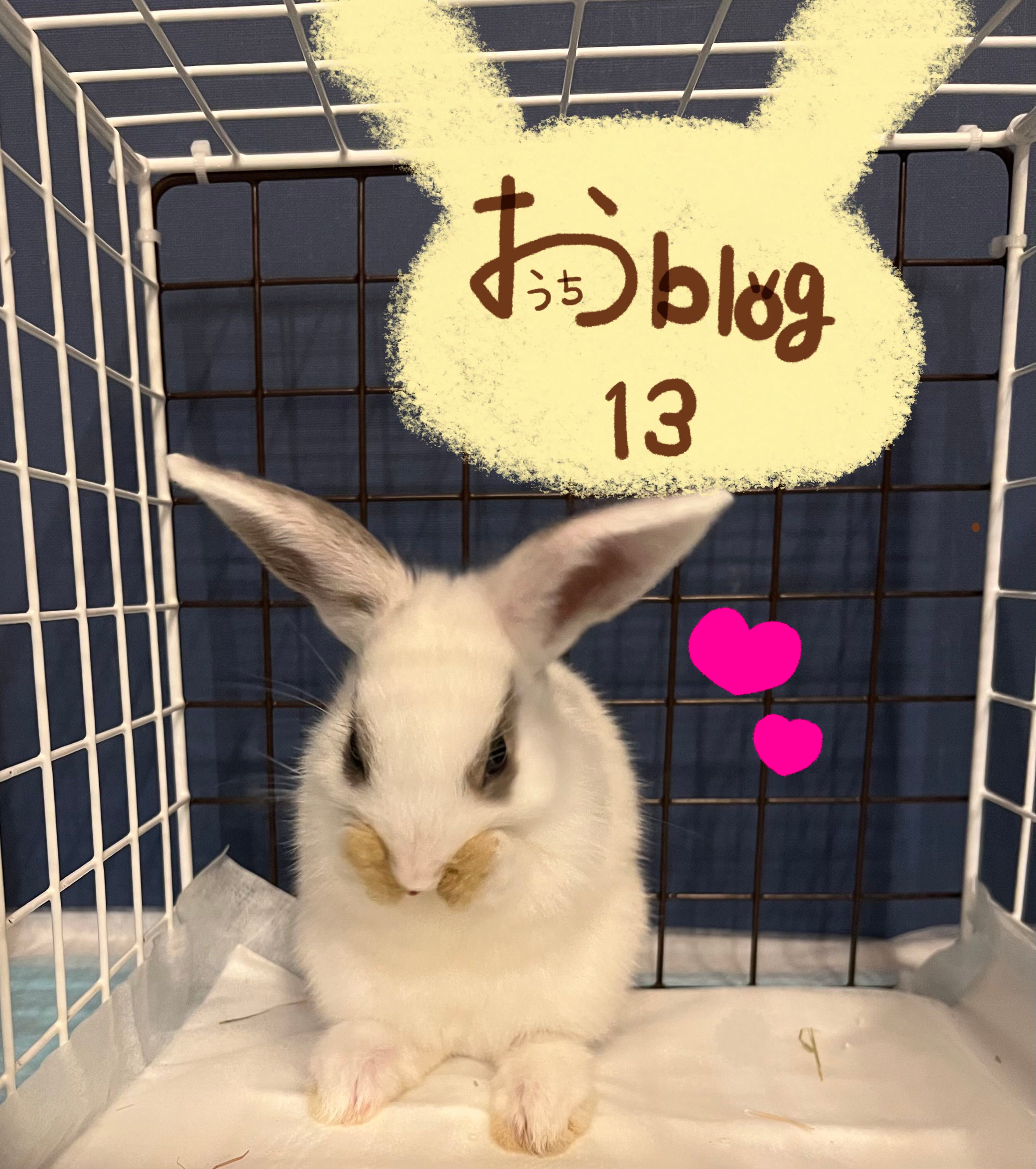 おうちblog🏠⑬