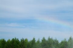 【防災blog⑪】2026年にカワル：気象警報編