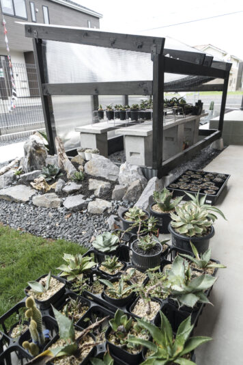 庭にもご主人の植物が並ぶ。奥に見える育成ハウスはご主人の手作り。